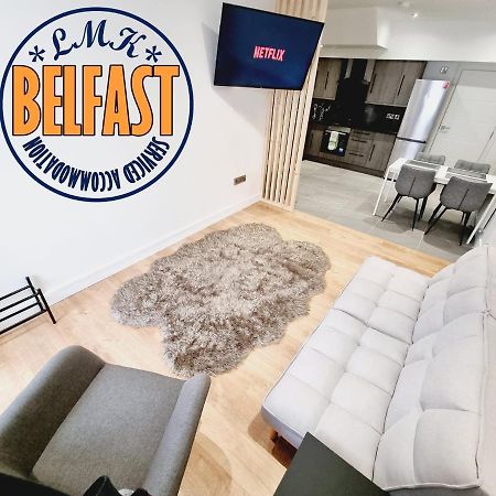 Lmk, Spacious 1 Bedroom Ground Floor Apartment, Ev Charger, Free Parking Wi-Fi, Great Location Belfast Buitenkant foto